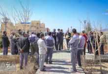 گزارش تصویری |  آیین غرس نهال و تجلیل از پرسنل زحمتکش فضای سبز و باغبانی دانشگاه صنعتی شاهرود 